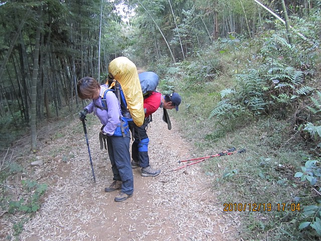 奇迹鱼和椰驴